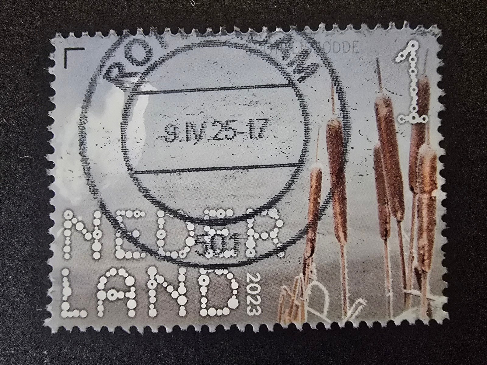 Beleef de Natuur 2023 - Grote Lisdodde, Ophalen of Verzenden, Na 1940, Gestempeld