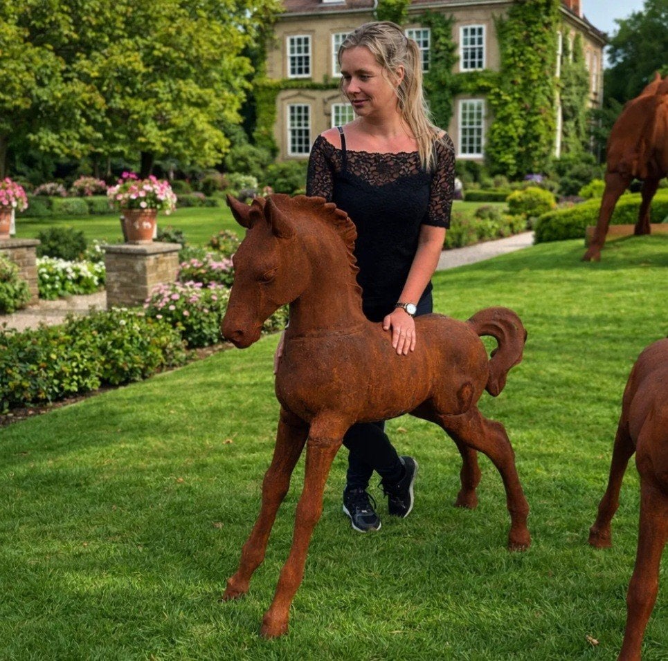 Diverse Paarden- en Huisdecoratie Collectie, Ophalen, Nieuw
