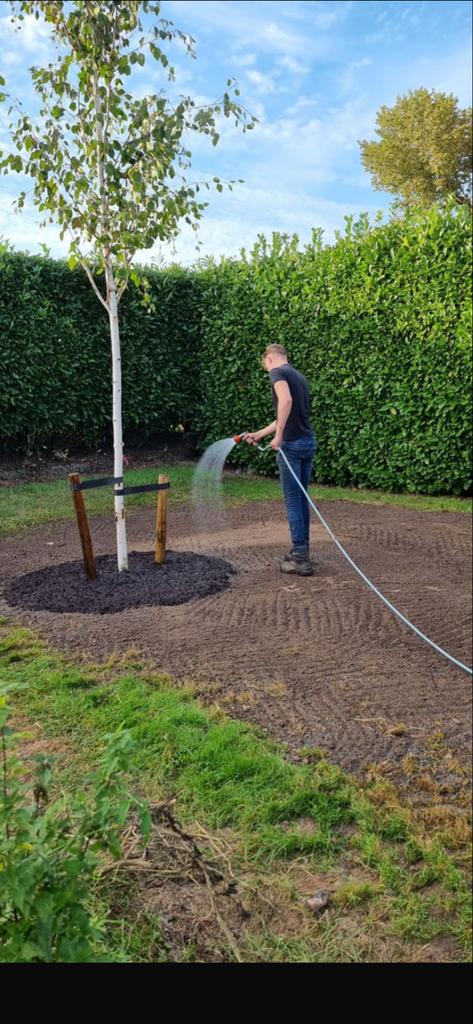 Hovenier, Tuinonderhoud of Snoeiwerk