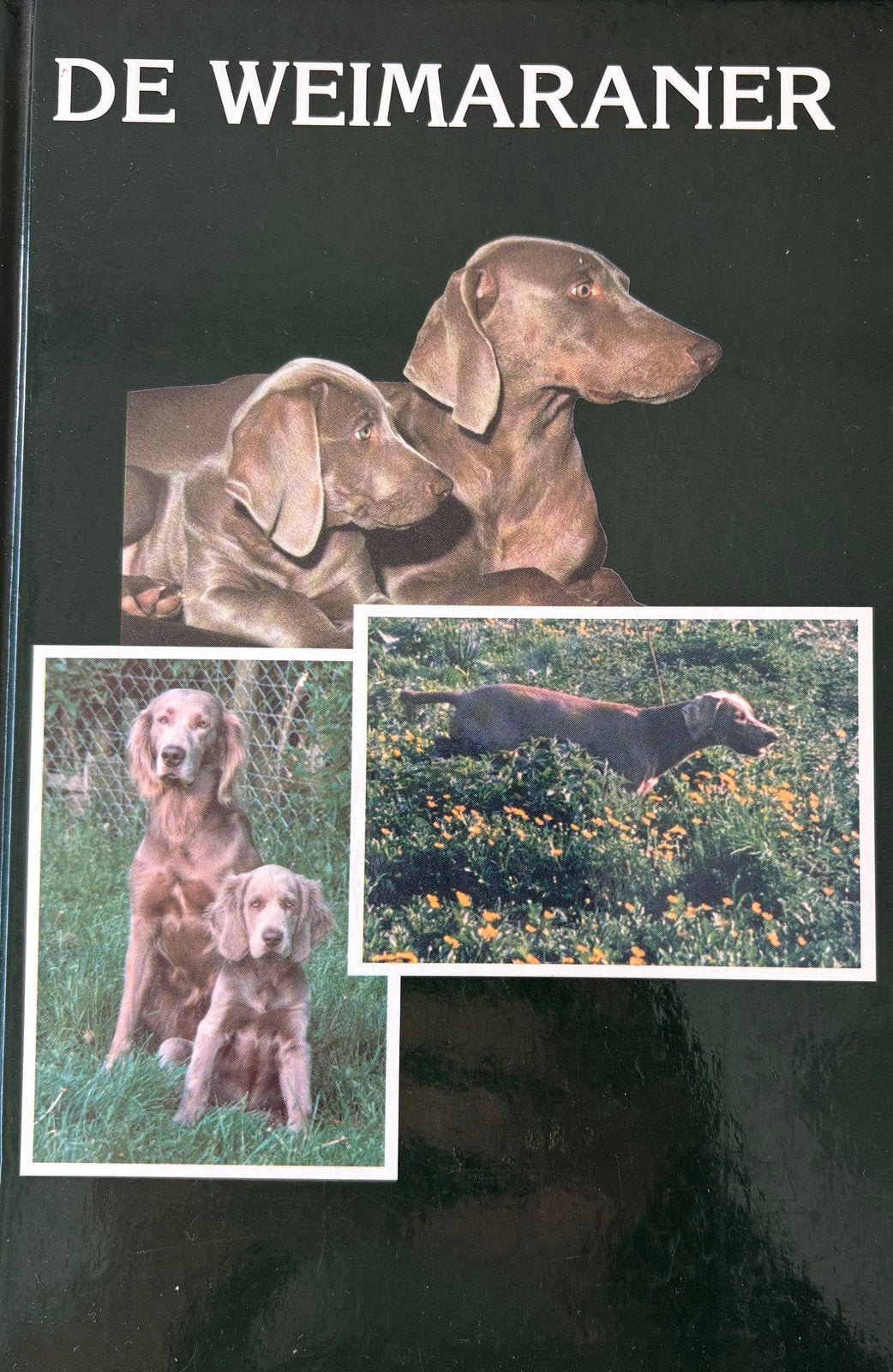 De Weimaraner, Ophalen of Verzenden, Zo goed als nieuw, Honden