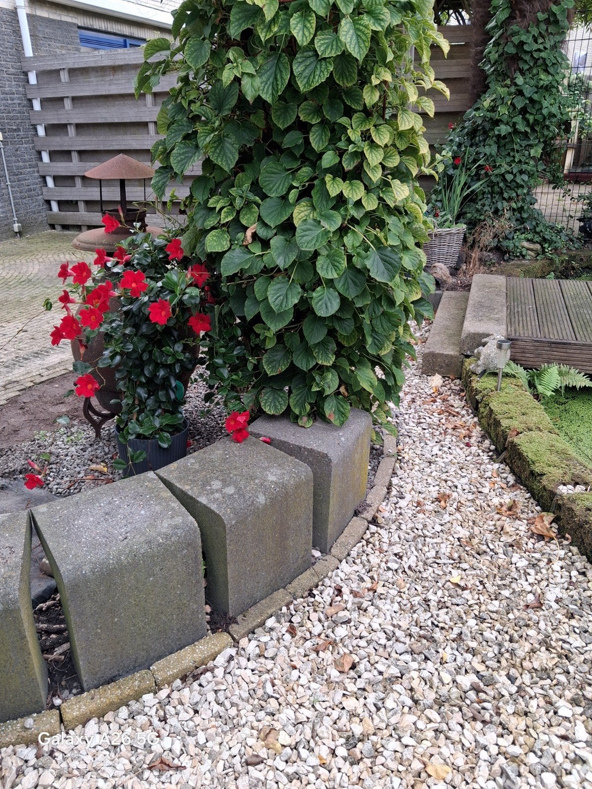 Gebogen tuinbank van beton, Tuin en Terras, Ophalen, Gebruikt, Overige materialen