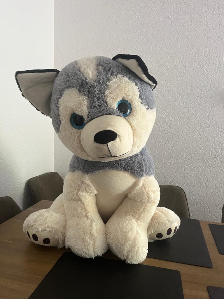 Gigantisch hond knuffel, Ophalen, Zo goed als nieuw, Hond