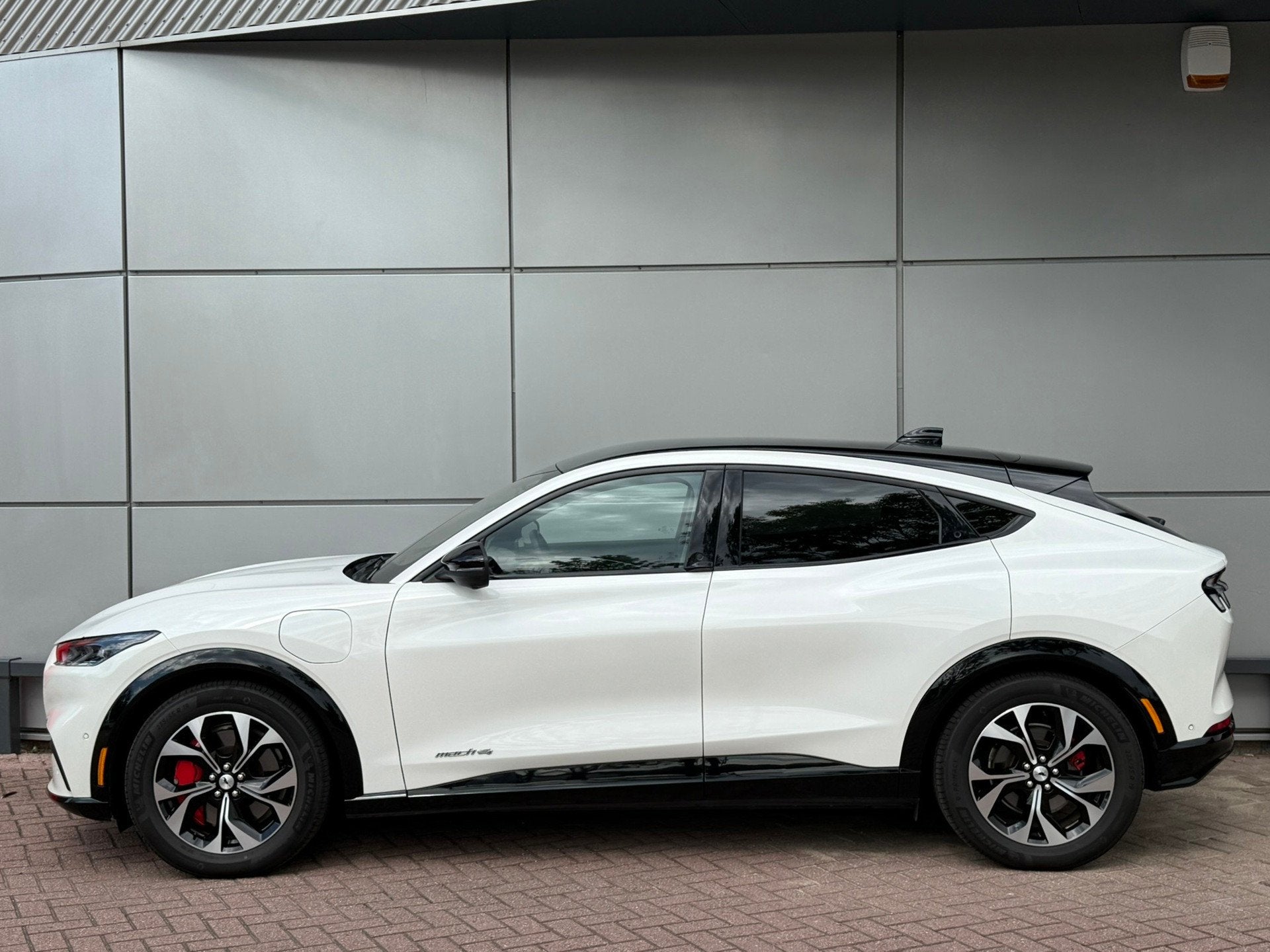 Ford Mustang Mach-E AWD 75 kWh 258pk | Pano | Technology Pac, Gebruikt, Wit, 1249 min, Mustang