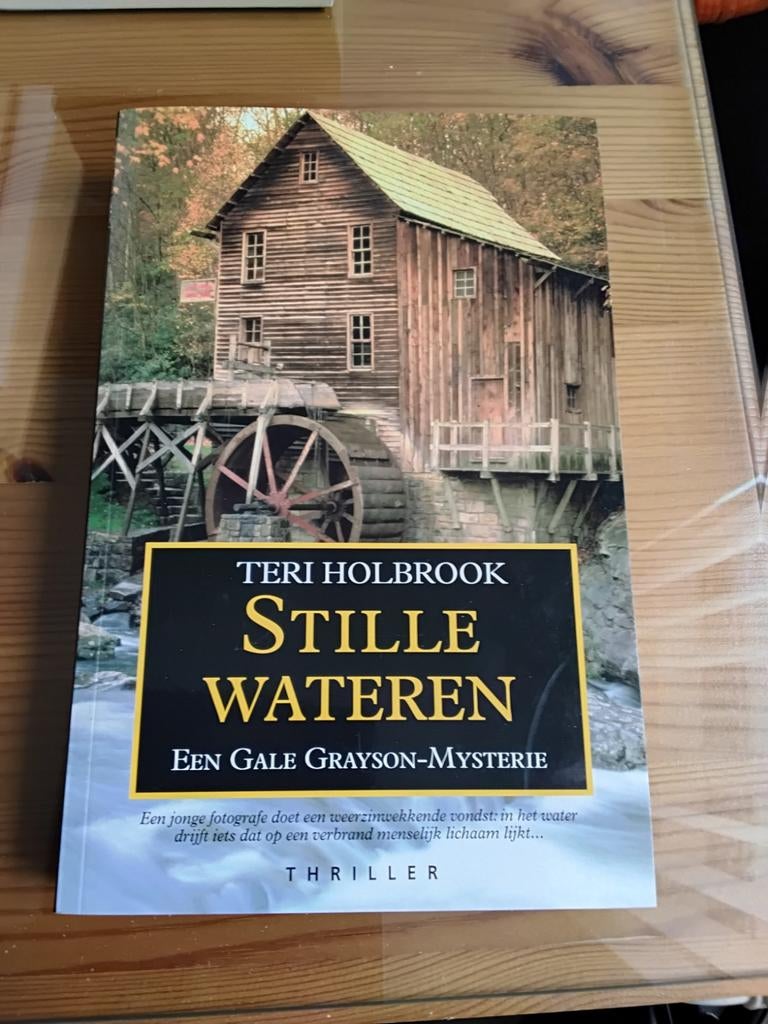 Stille Wateren, Teri Holbrook, Ophalen of Verzenden