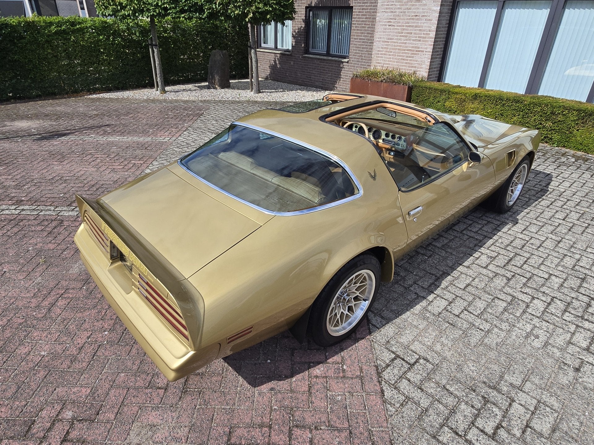 Pontiac Firebird Trans Am 6.6 FW 87 Y88 GOLD SPECIAL EDITION, foto 5