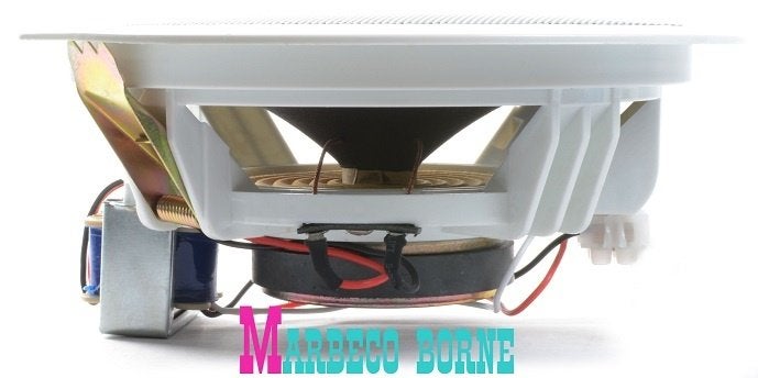 Luidspreker,Plafondspeaker 100Volt 6,5 inch Basic Wit, Overige merken, Overige typen, Info@marbeco.nl, Minder dan 60 watt