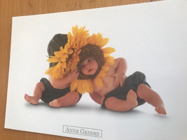 Anne Geddes, Ophalen of Verzenden