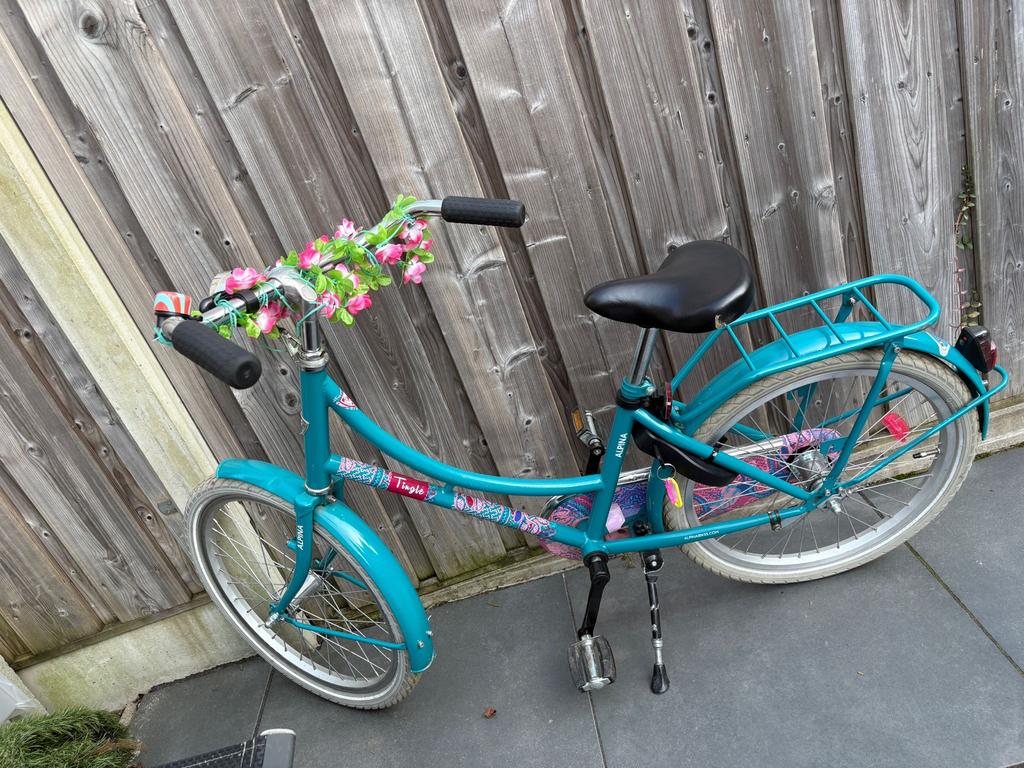 Alpina Tingle kinderfiets 20 inch, Ophalen, Gebruikt, 20 inch of meer
