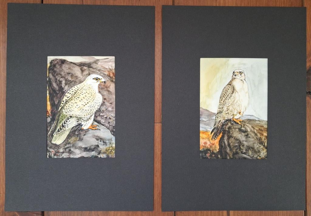 Twee unieke aquarellen van Giervalk., Ophalen of Verzenden