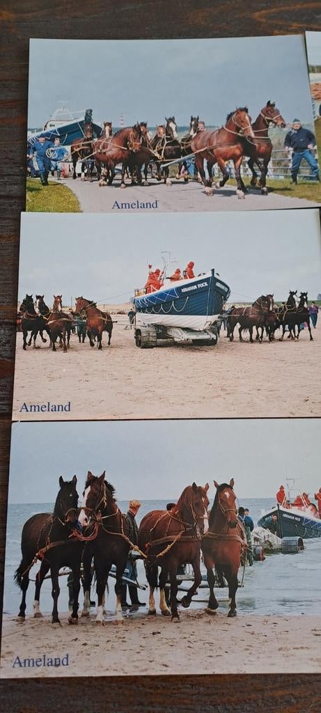 Ansichtkaarten Ameland: Paarden reddingsboot lancering, Ophalen of Verzenden, 1980 tot heden, Ongelopen, Waddeneilanden