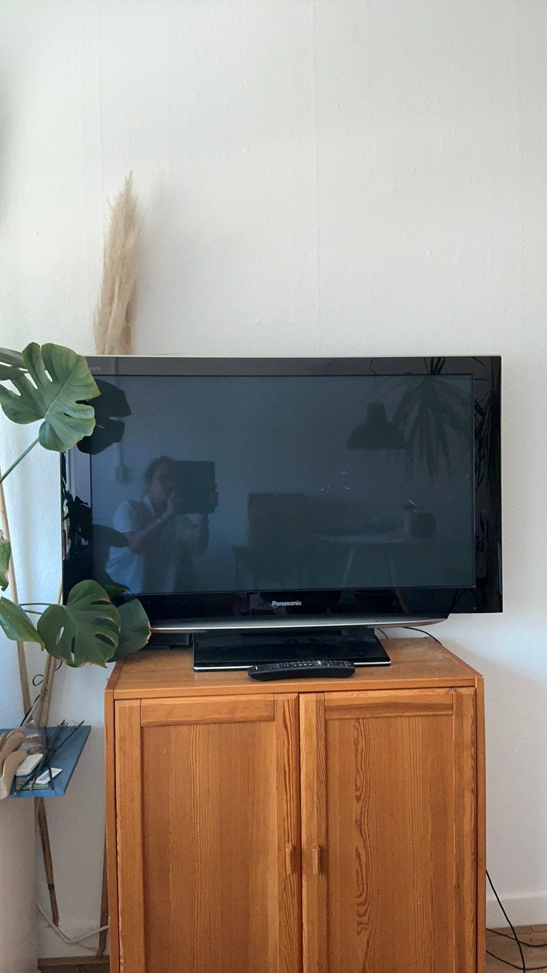 Panasonic TV 42“, Ophalen, Gebruikt, Panasonic, 100 Hz
