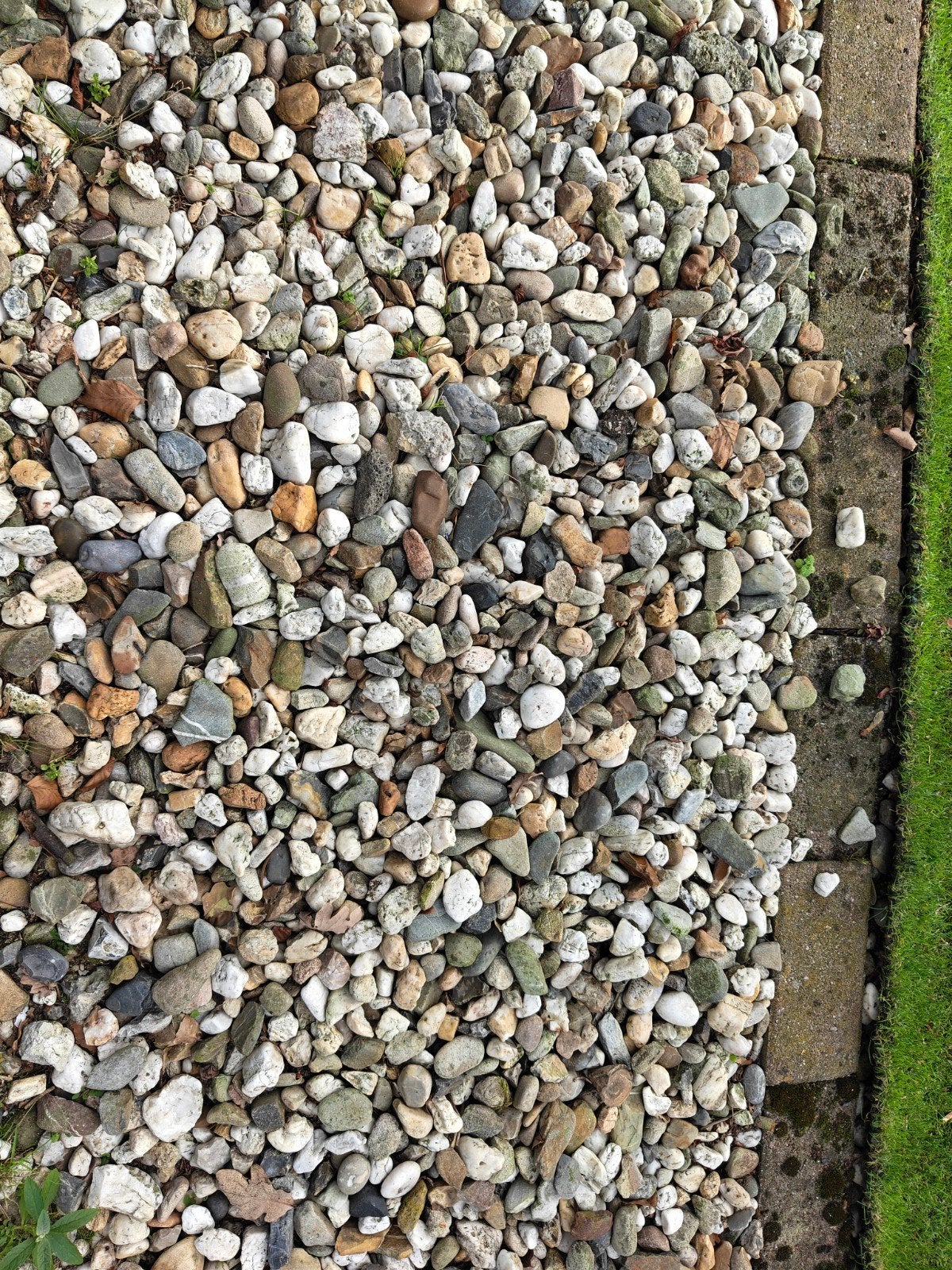 Diverse siergrind voor tuin en decoratie, Ophalen, Gebruikt, Multi, Grind