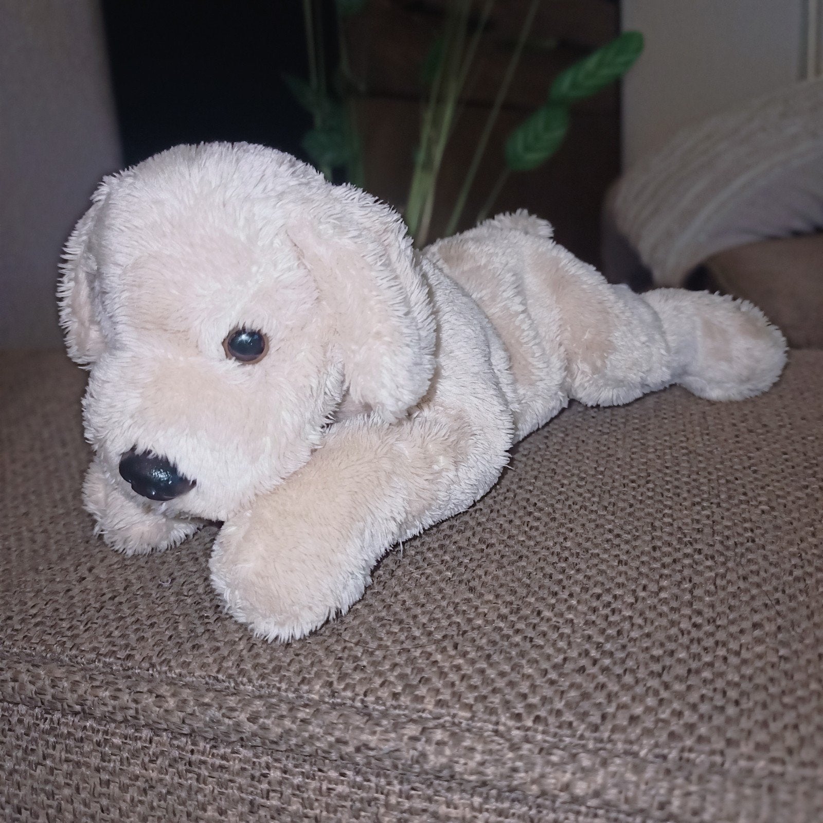 Hema, golden retriever beanie hondje., Hema, Wasbaar, Zo goed als nieuw, Middelgroot (20 tot 80 cm)