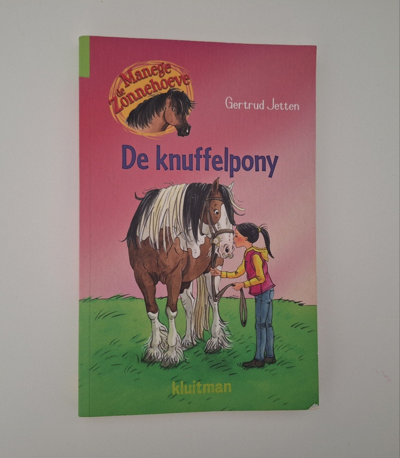 De knuffelpony - De Manege Zonnehoeve, Ophalen of Verzenden