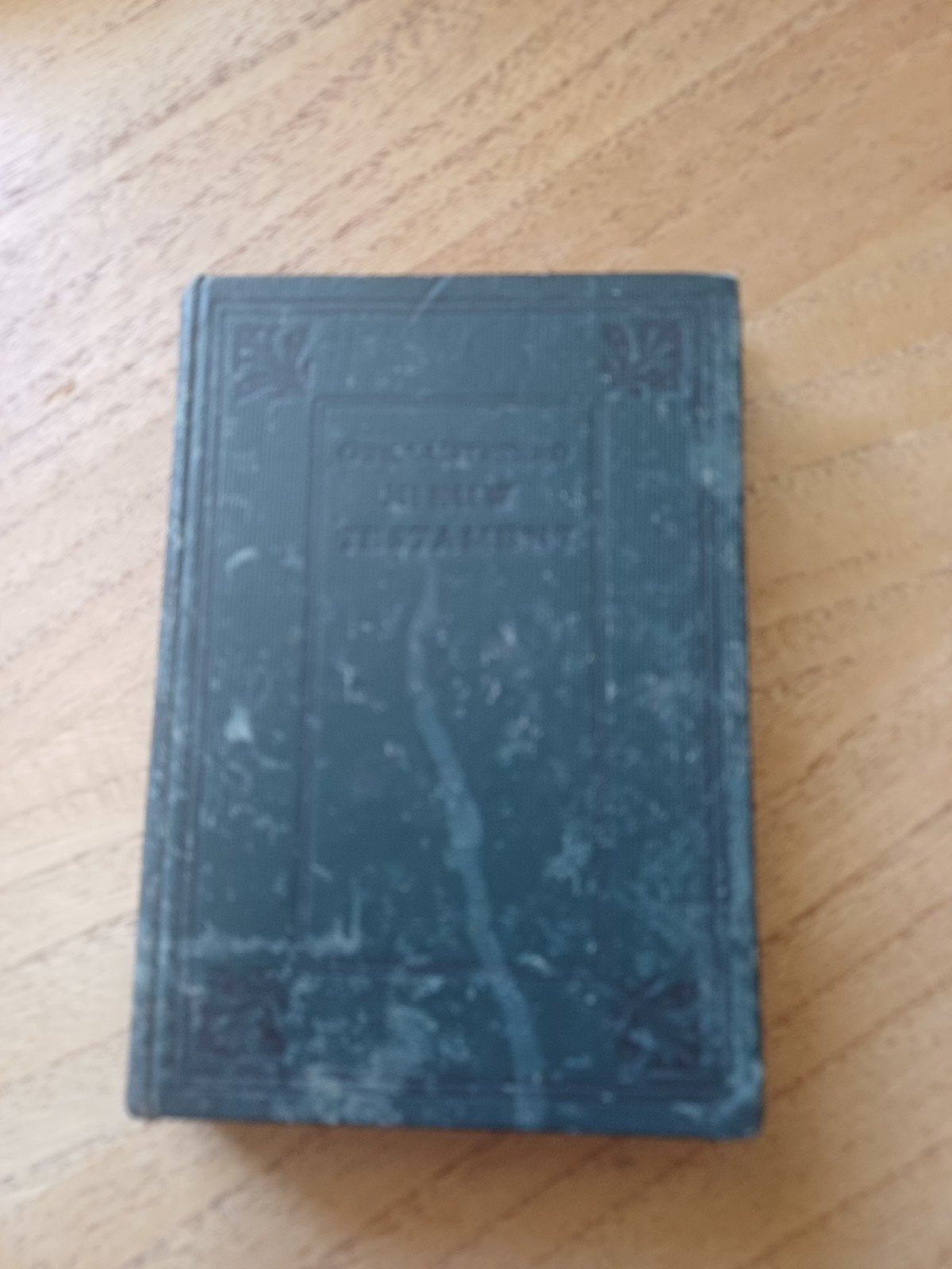 L4. Het Nieuwe Testament - Nederlands Bijbelgenootschap 1921, Ophalen of Verzenden, Onbekend