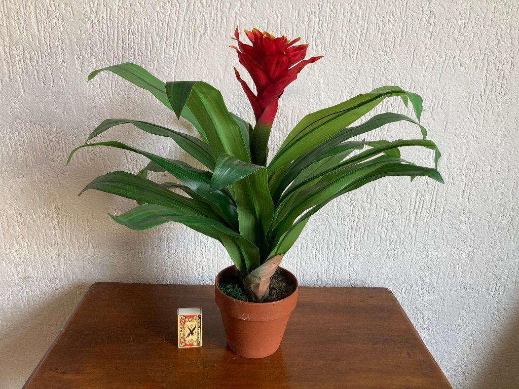Bromelia Guzmania kokerplant groen rood levensecht 47 cm, Binnen, Kunstplant, 47 cm, Ophalen of Verzenden
