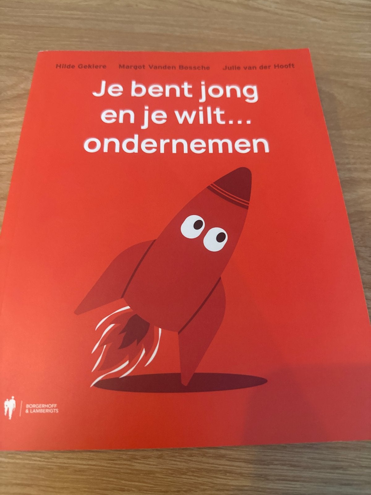 Je bent jong en je wilt... ondernemen - Boek, Ophalen of Verzenden, Zo goed als nieuw, Economie en Marketing