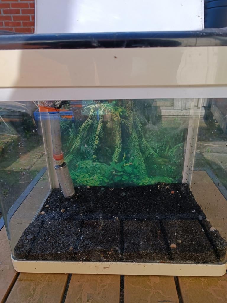 Aquarium superfish 30, Ophalen of Verzenden, Zo goed als nieuw, Leeg aquarium