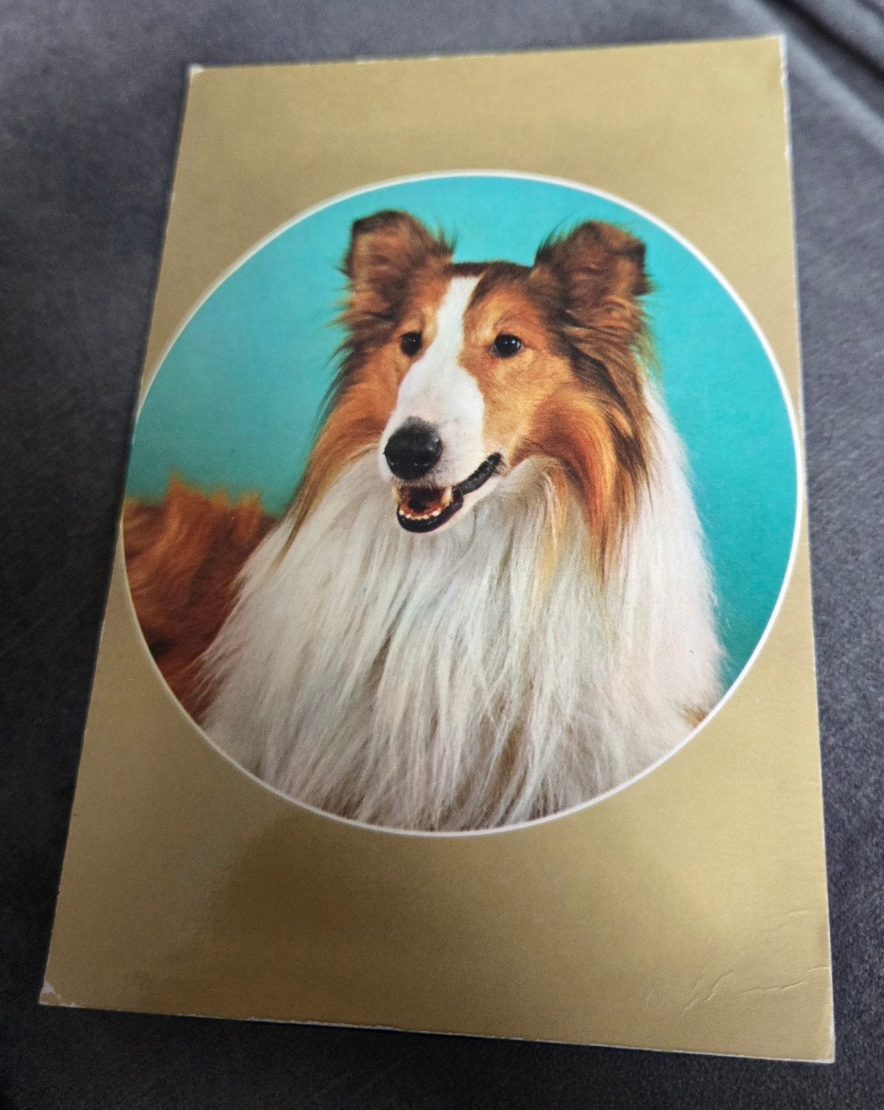 Piepkaart Collie Hond - kaart met piep geluid, Verzamelen, Verzenden, 1960 tot 1980, Gelopen, Hond of Kat
