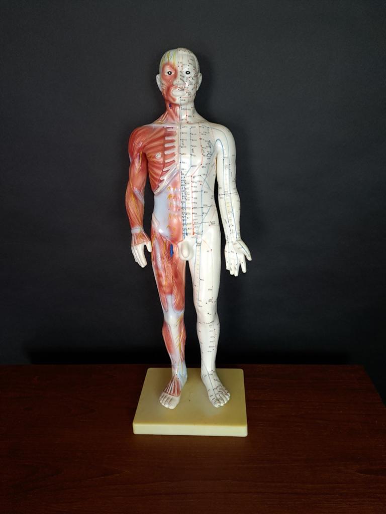 Vintage Anatomisch Figuur, Ophalen of Verzenden, Huis en Inrichting