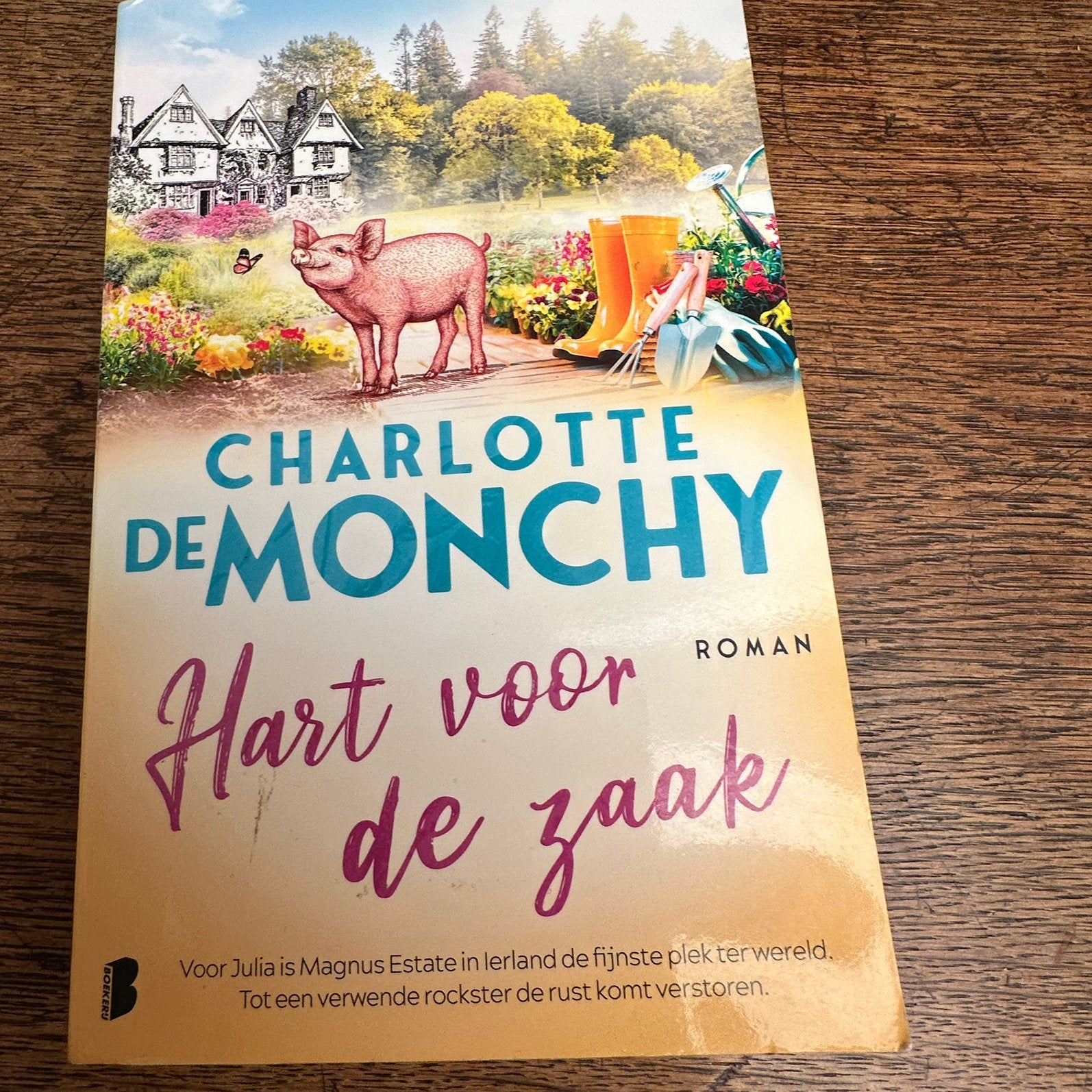 Charlotte de Monchy: Hart voor de zaak, Boeken, Ophalen of Verzenden, Zo goed als nieuw