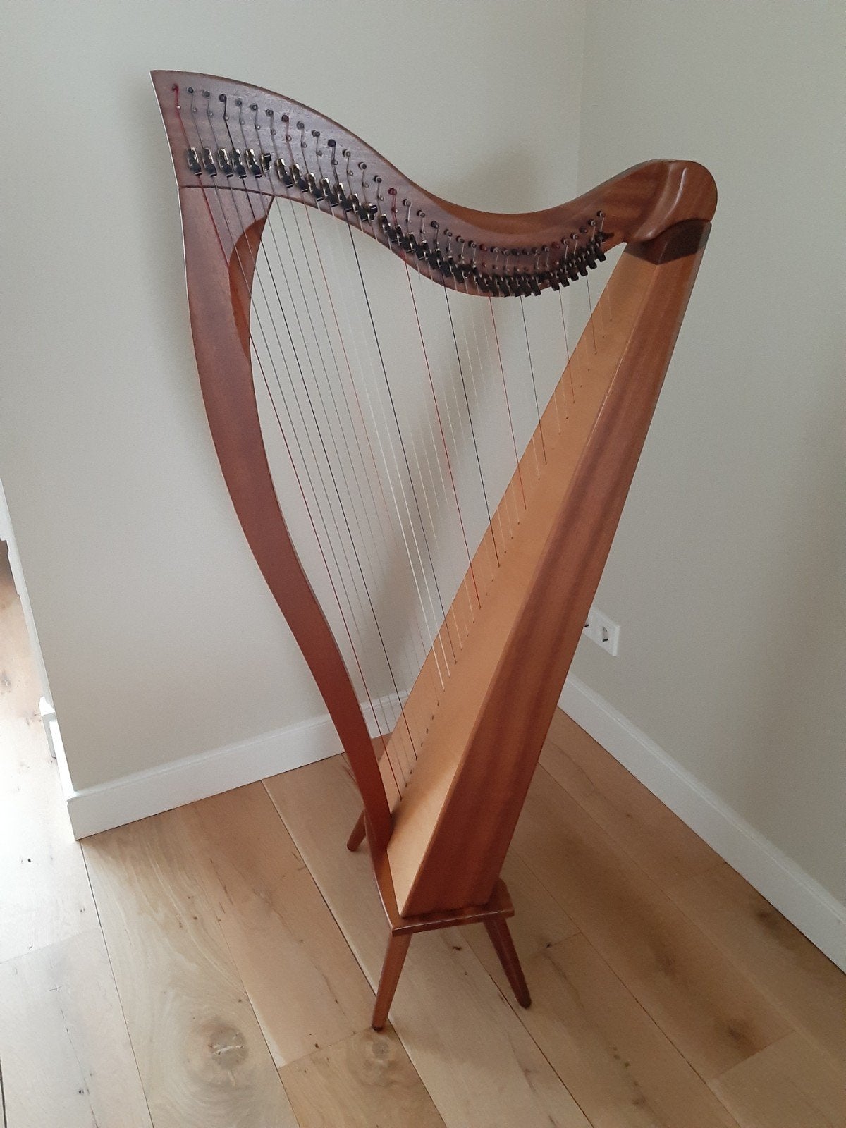 Harp Dusty Strings Crescendo 34 snaren,  incl. transporthoes, Ophalen