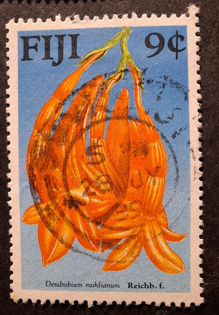 Fiji bloemen, Ophalen of Verzenden, Dier of Natuur