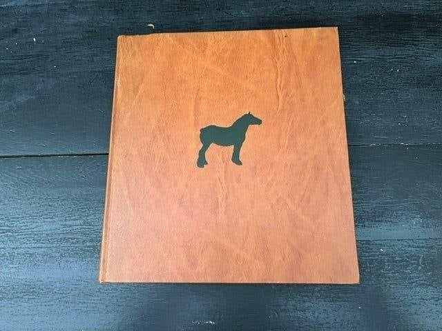 Prachtig boek over paarden en koetsen - Illustraties, Boeken, Gelezen, Rien Poortvliet, Ophalen of Verzenden, Paarden of Pony's
