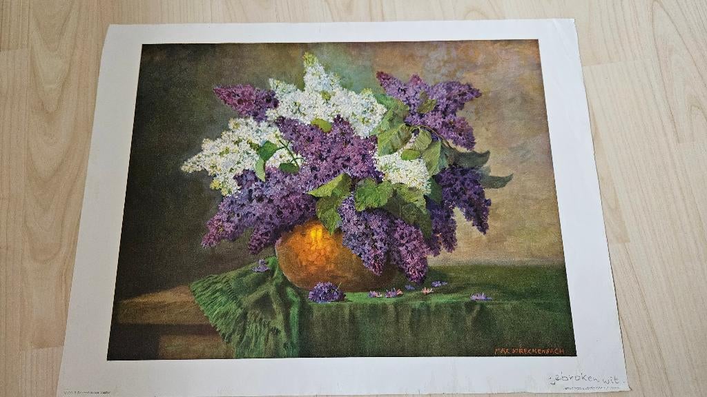 Prent van lila boeket, Ophalen of Verzenden, Voor 1940, Overige onderwerpen