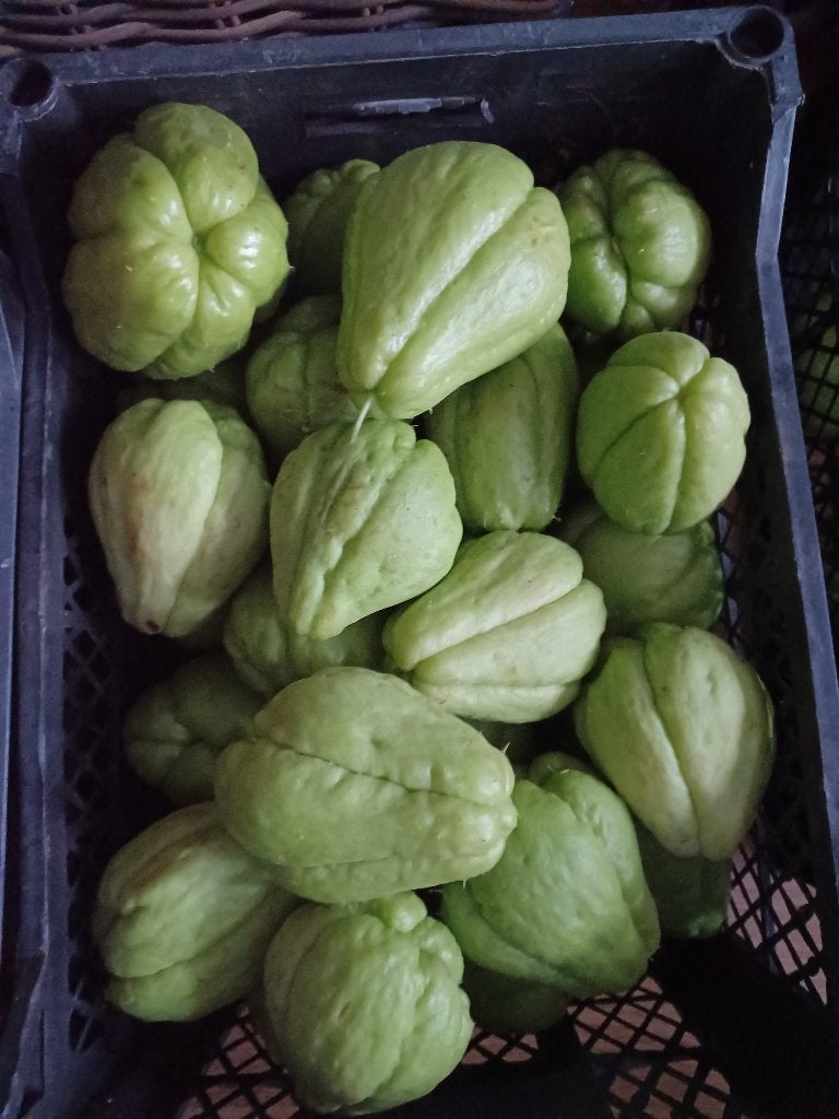Chayottes, Ophalen, Nieuw