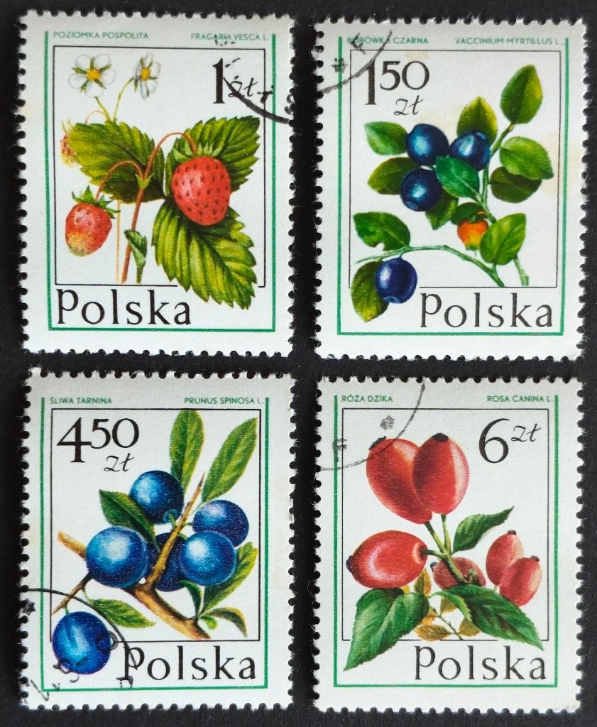POLEN - bosvruchten 1977, Verzenden, Polen, Gestempeld