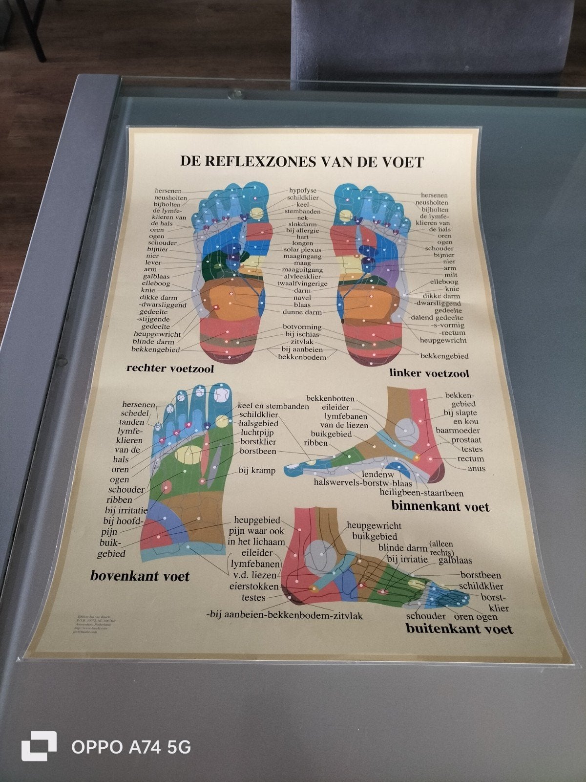 Poster de reflexzones van de voet, Ophalen, A1 t/m A3