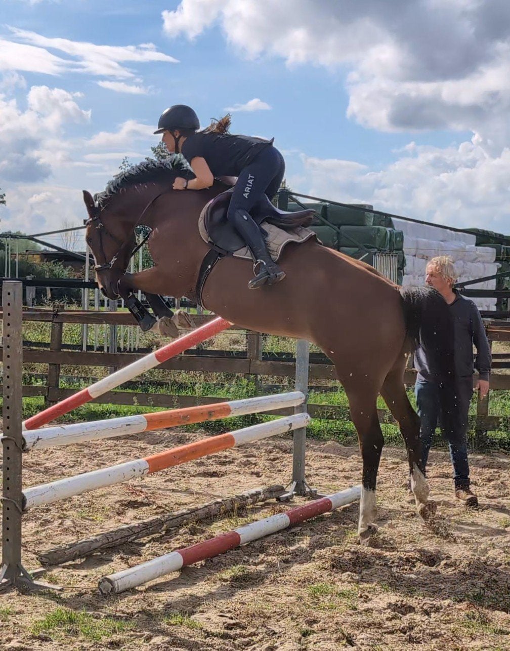 braaf springpaard met talent!, Merrie, Springpaard, Met stamboom, Zadelmak