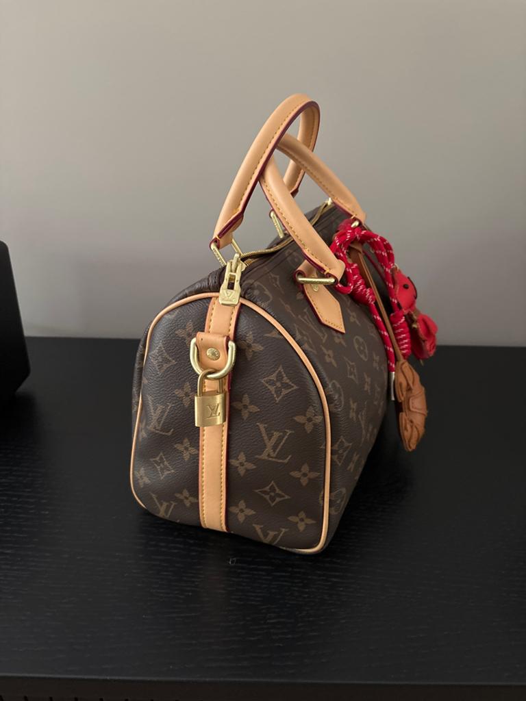 Speedy 25, Ophalen of Verzenden, Zo goed als nieuw, Bruin, Handtas