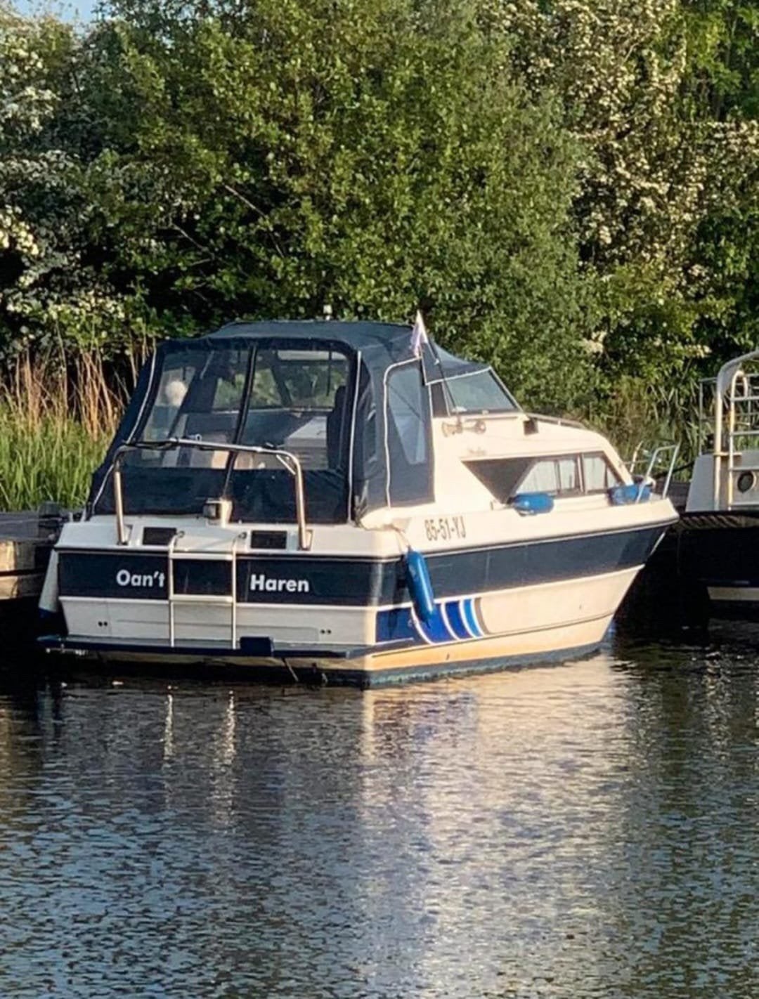 Speedcruiser Sealine Conti 22 Volvo Pent no bayliner maxum, Gebruikt, Binnenboordmotor, Boegschroef, Polyester