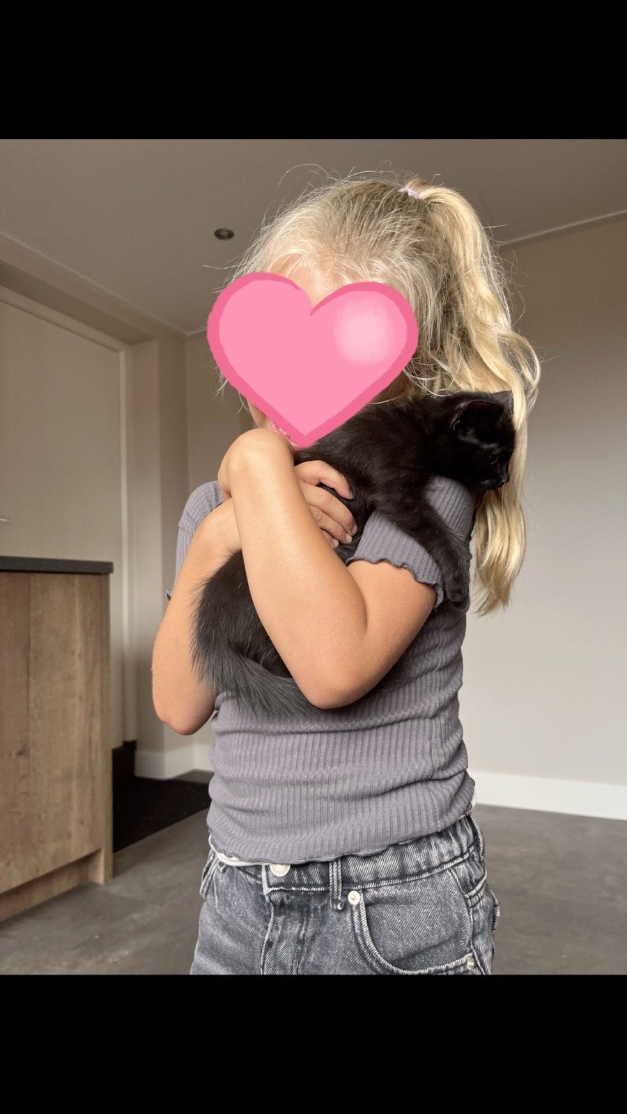 Leuke zwarte kittens poesjes, Meerdere dieren, Kortharig, 0 tot 2 jaar