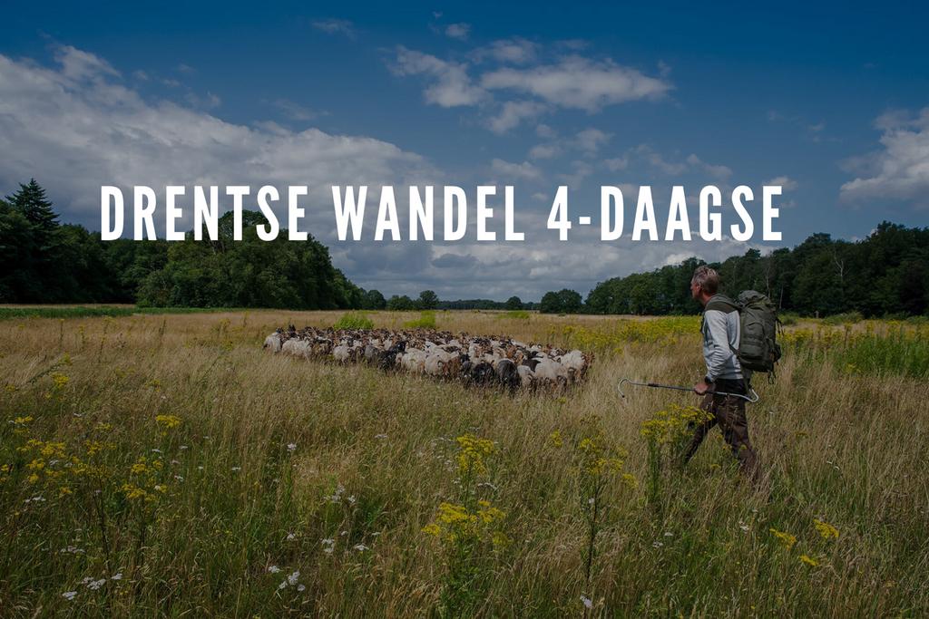 2 tickets Drentse Wandel4daagse 2026, Tickets en Kaartjes, Sport | Voetbal, Drie personen of meer, Mei