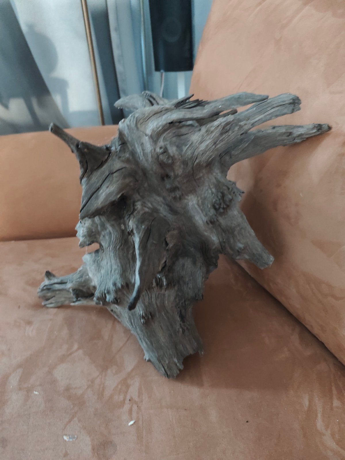 Decoratieve houtstronk - Uniek stuk voor in aquarium