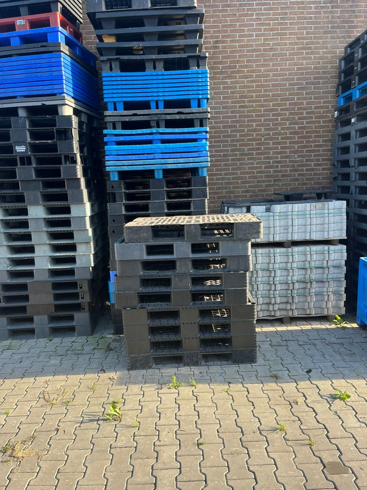Zware kunstoffen pallets 80x120, Ophalen, 100 cm of meer, 60 cm of meer, Overige typen