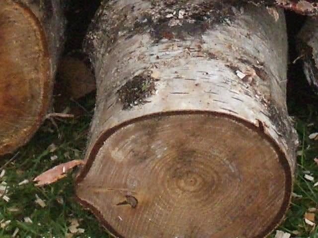 Gezocht: haardhout, Tuin en Terras, Haardhout, 3 tot 6 m³, Ophalen of Verzenden, Stammen