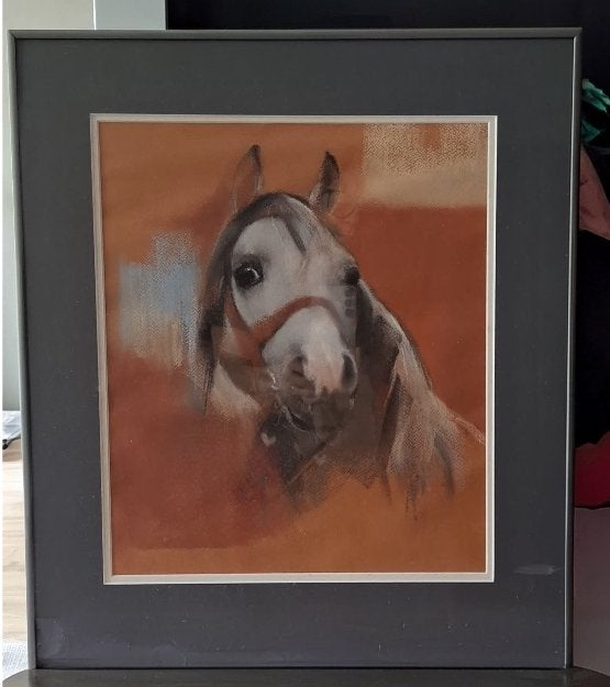 Paardenschilderij, Ophalen, Zo goed als nieuw