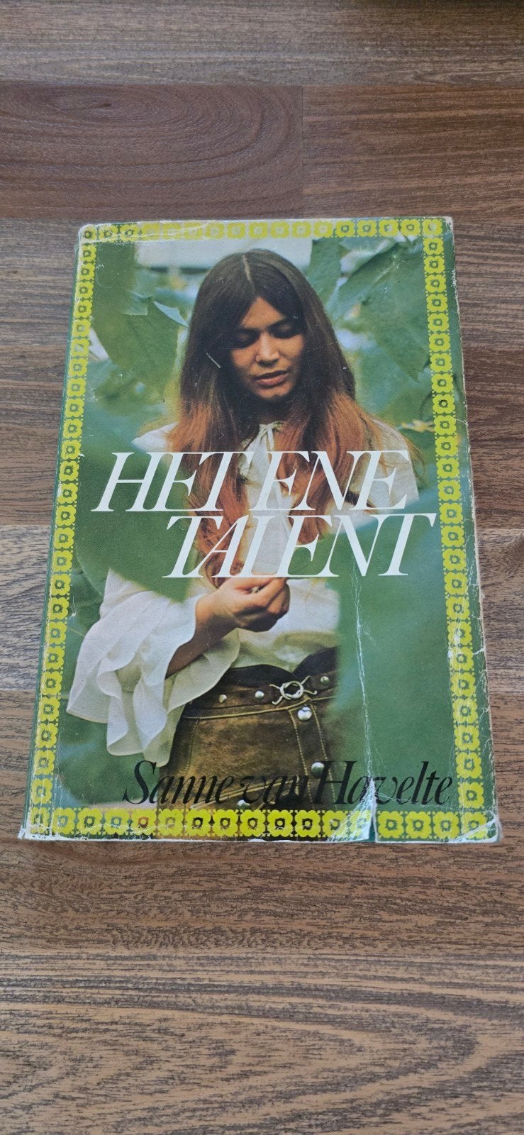 Het Ene Talent - Sanne van Havelte (Boek), Boeken, Romans, Ophalen of Verzenden, Gelezen, Sanne van Havelte, Nederland