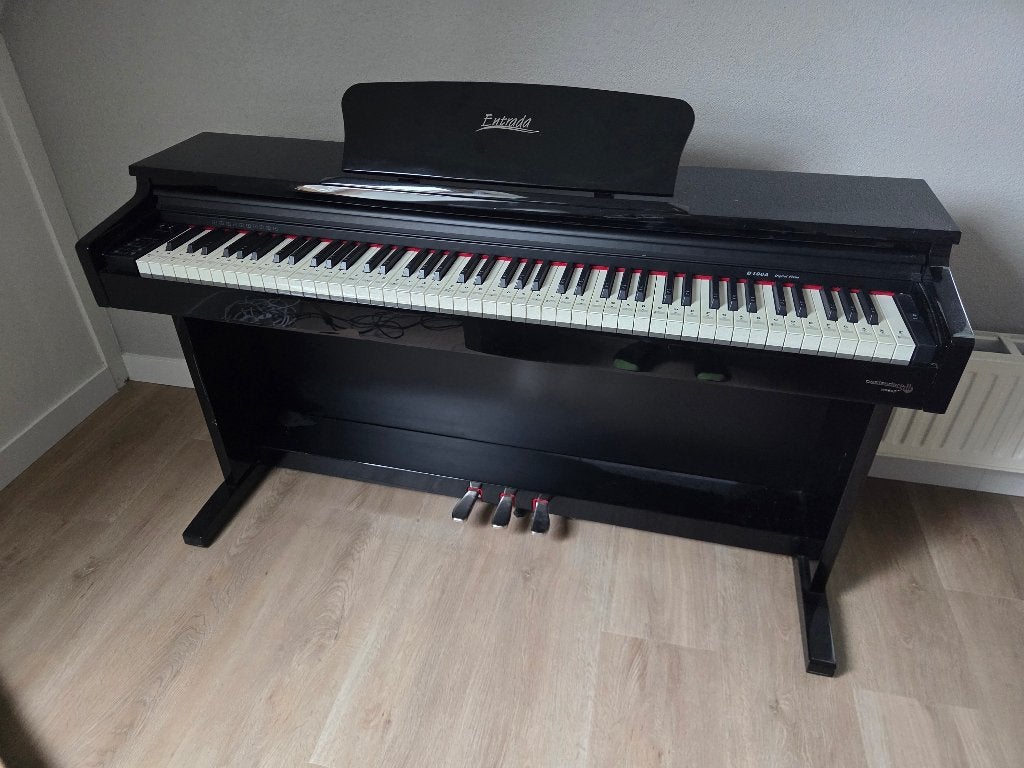 Digitale piano entrada d100a, pianokruk luxe, usb interface, Ophalen, Gebruikt, Zwart, Piano