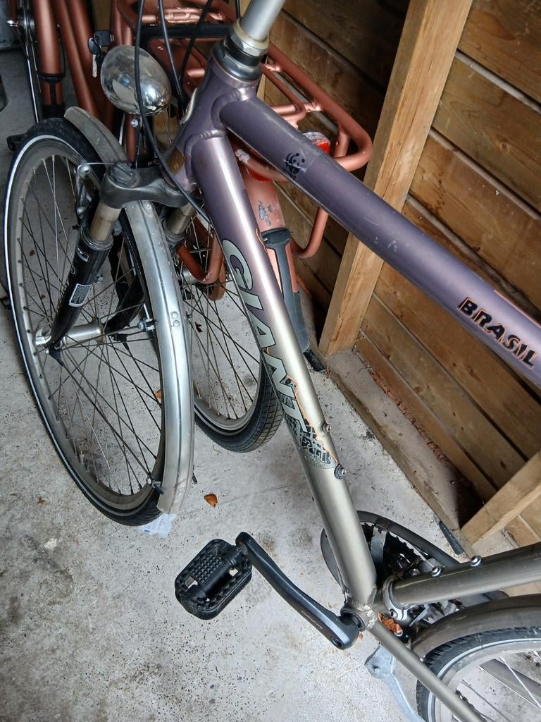 Giant Brasil Damesfiets - Gebruikt, Fietsen en Brommers, Fietsen | Dames | Damesfietsen, Ophalen, Velgrem, Versnellingen, Giant