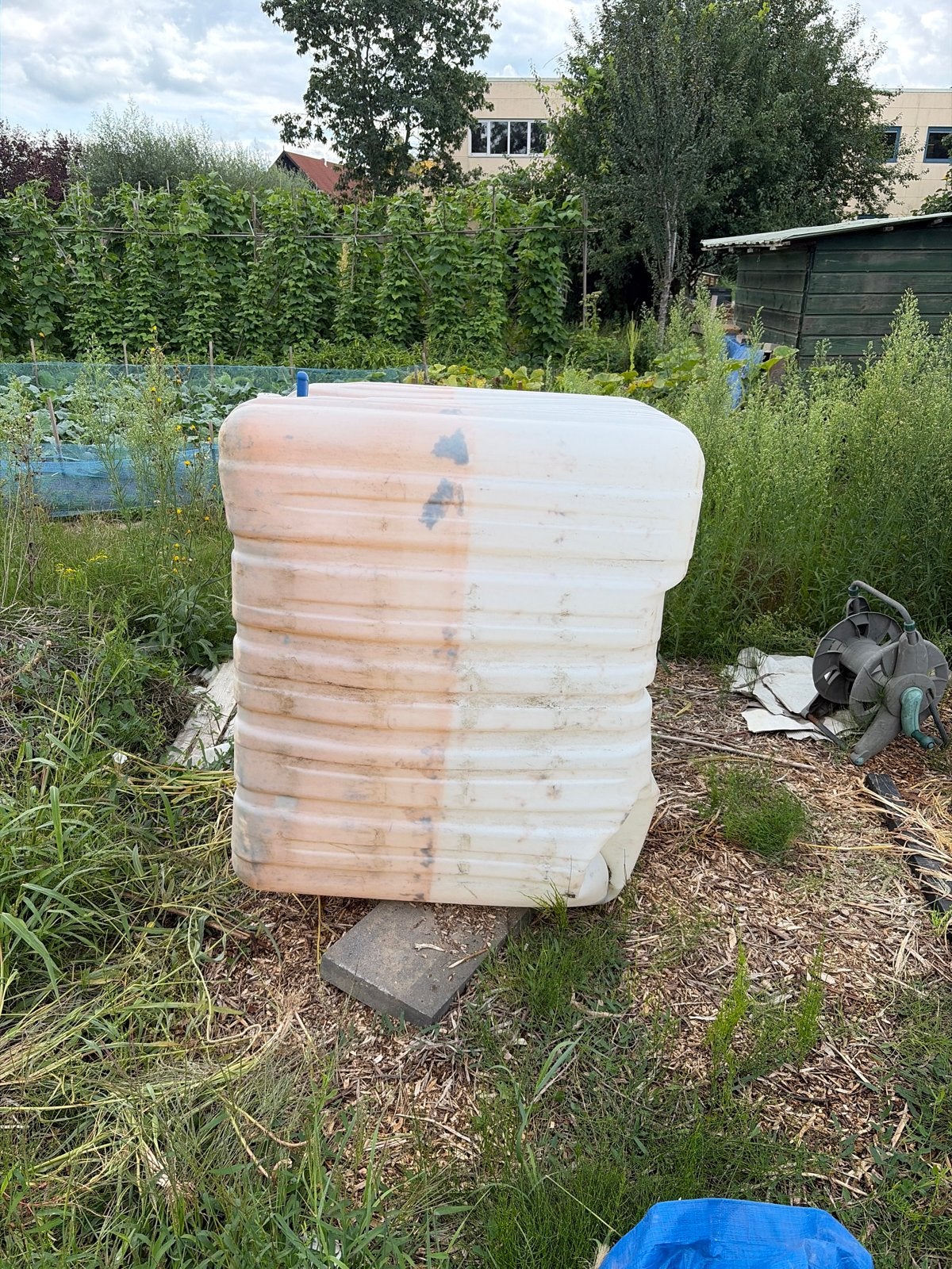 Grote watertank / regenton voor tuin of moestuin, Tuin en Terras, Regentonnen, 150 liter of meer, Ophalen, Gebruikt, Kunststof