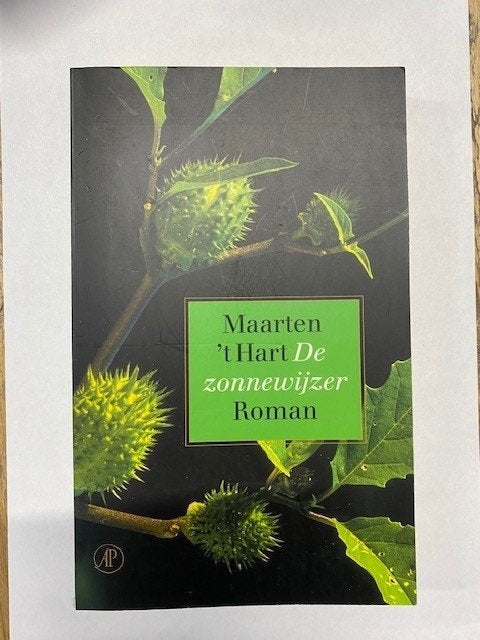 Boek - 691 - De zonnewijzer - Maarten 't Hart, Ophalen of Verzenden, Zo goed als nieuw