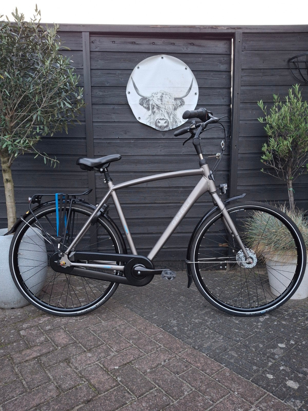 Gazelle Vento C7 herenfiets jongensfiets 28 inch H57cm ZGAN, Ophalen, Versnellingen, Zo goed als nieuw, 57 tot 61 cm