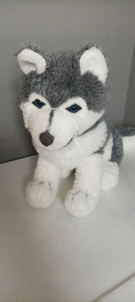 Schattige Husky Knuffel - Zo goed als nieuw hoogte 34 cm, Gebruikt, Overige karakters, Grijs, Middelgroot (20 tot 80 cm)