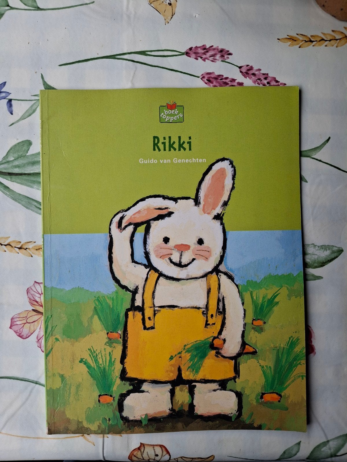 Rikki - Guido van Genechten - Prentenboek, Gelezen, Fictie algemeen, Jongen of Meisje, Ophalen of Verzenden