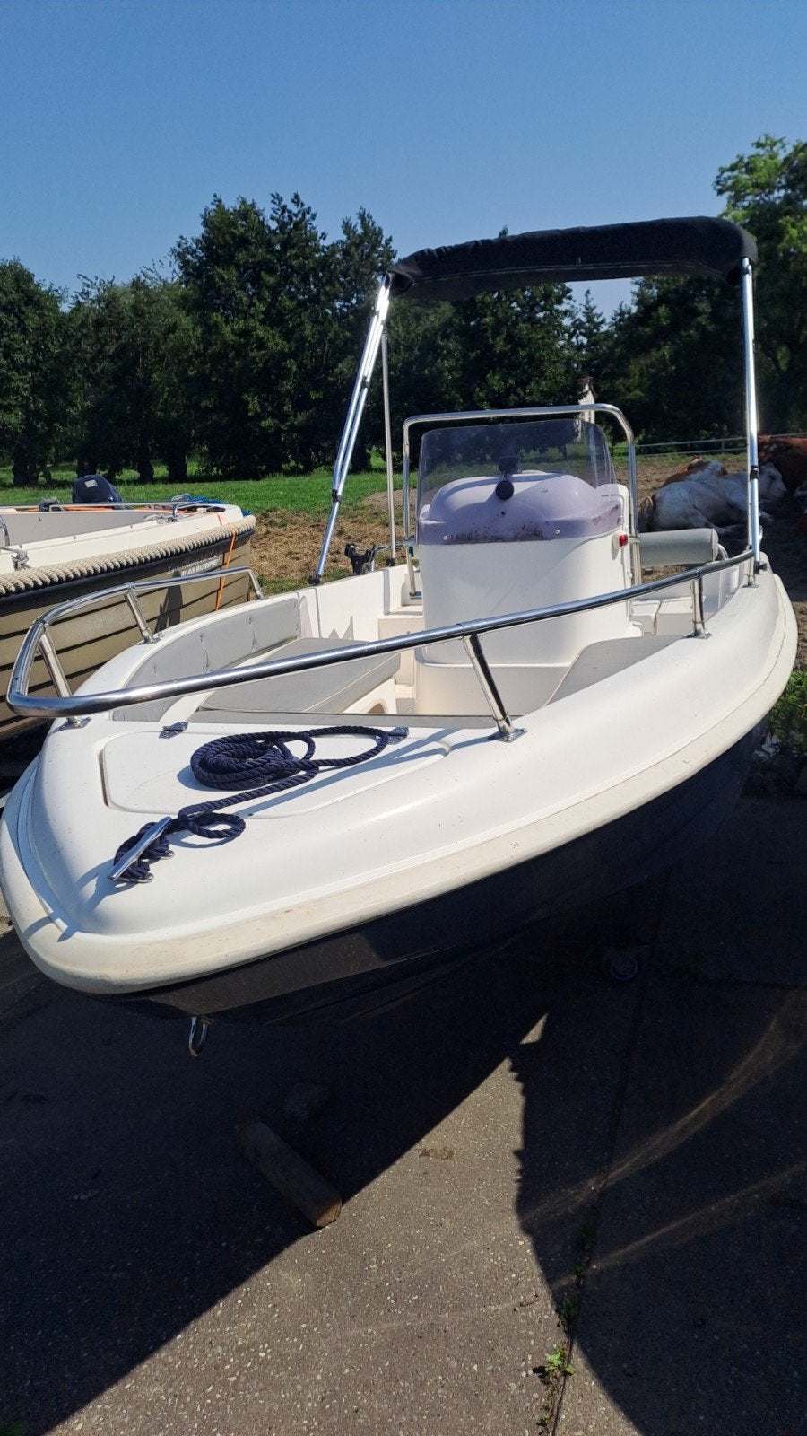 Mooie visboten en  – Consoleboten & Visboten, Watersport en Boten, Ophalen, Overige merken, Gebruikt, Viertaktmotor